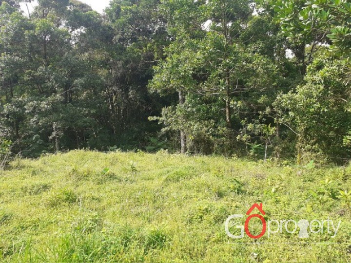 Venta de Terreno con Rio Cristalino, Rio Cuarto